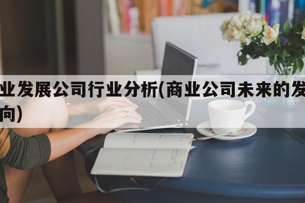 商业发展公司行业分析(商业公司未来的发展方向)